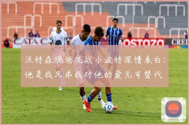 沃特森现场观战小波特深情表白：他是我兄弟我对他的爱无可替代