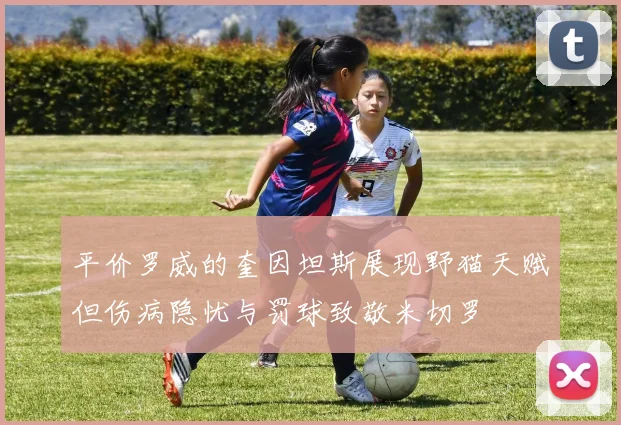 平价罗威的奎因坦斯展现野猫天赋但伤病隐忧与罚球致敬米切罗